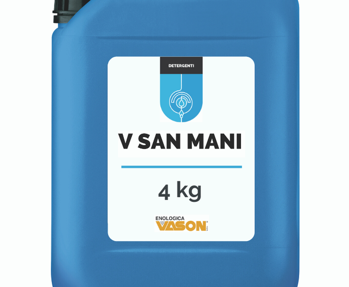 V SAN MANI